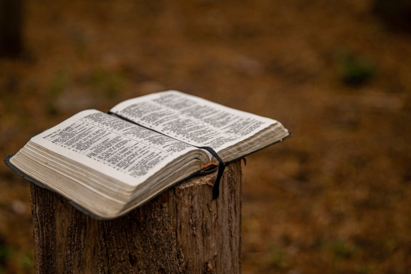 The 35 Authors of the Bible You Should Know